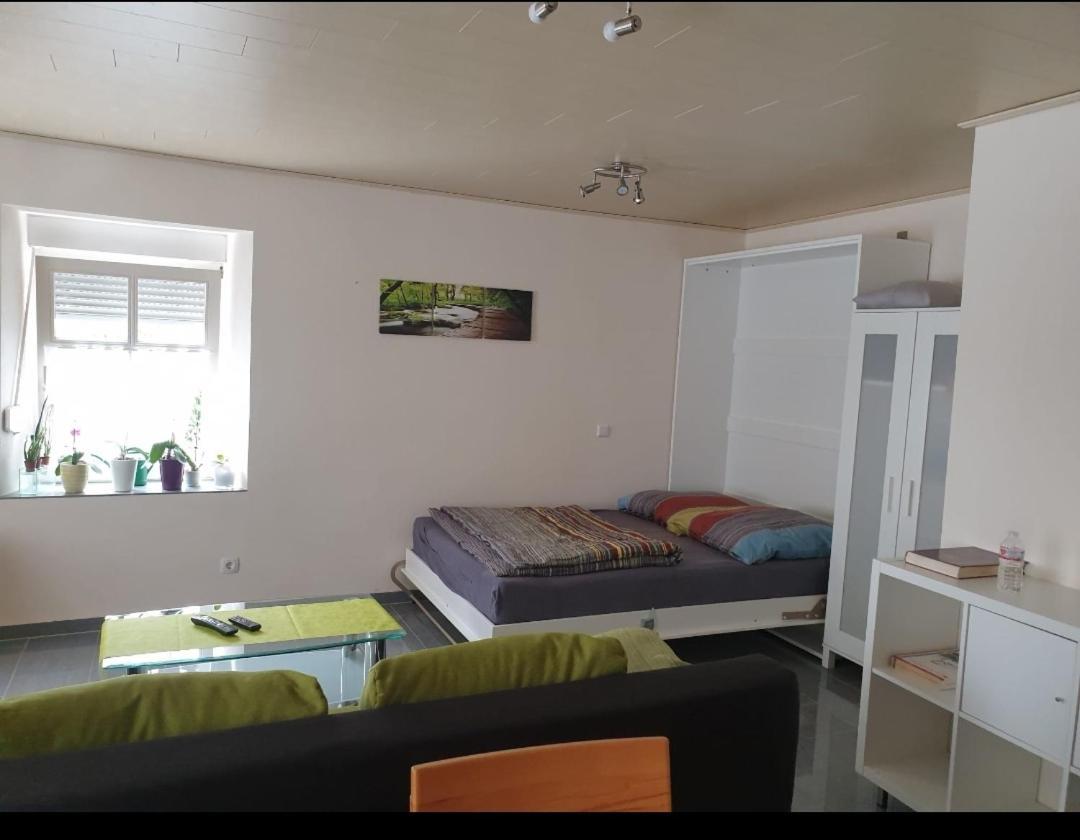 Ferien-Apartment Meter Neumagen-Dhron Exteriör bild